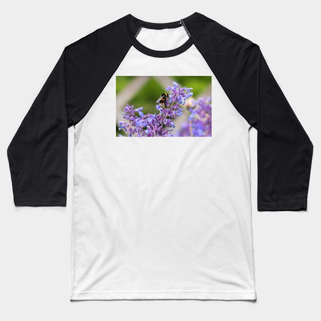 Bumble Bee collecting pollen Baseball T-Shirt by Russell102